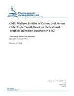 Child Welfare: Profiles of Current and Former Older Foster Youth Based on the National Youth in Transition Database (NYTD)