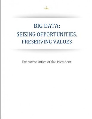 Big Data: Seizing Opportunities, Preserving Values