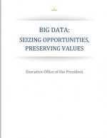 Big Data: Seizing Opportunities, Preserving Values