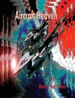 Aircraft Heaven: Part 2 (Chinese Version)
