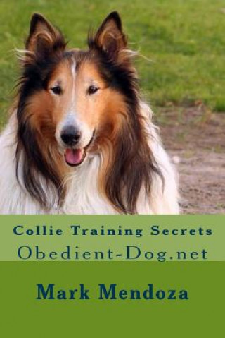 Collie Training Secrets: Obedient-Dog.net