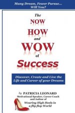 The NOW, HOW and WOW of Success: Discover, Create and Live the Life and Career of your Dreams