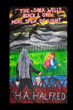 The Dark Wells: Black and Grey: Mere Spex Of Light