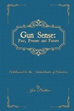 Gun Sense: : Past, Present and Future