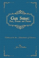 Gun Sense: : Past, Present and Future