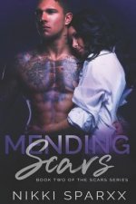 Mending Scars