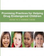 Promising Practices for Helping Drug Endangered Children: Paths to a Common Vision