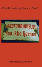 Hvordan man Spotter en Trold