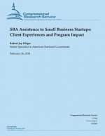 SBA Assistance to Small Business Startups: Client Experiences and Program Impact