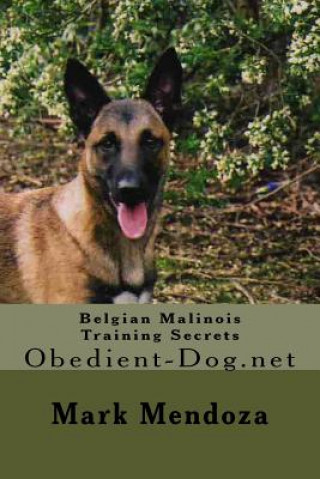 Belgian Malinois Training Secrets: Obedient-Dog.net