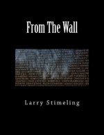 From The Wall Second Edition: Stories about people on the Wall