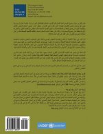 2014 - Arabic - State of Participatory Democracy Report