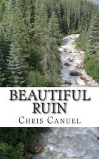 Beautiful Ruin: More Reflections In The Midst Of The Journey