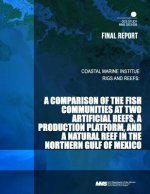 Rigs andReefs: A Comparison of the Fish Communities at Two Artificial Reefs, a Production Platform, and a Natural Reef in the Norther