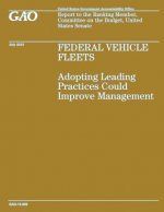 Federal Vehicle Fleets: Adopting Leading Practices Could Improve Management