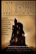 Lost Whispers The Collective Allegories of Haunted America