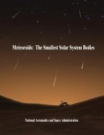 Meteoroids: The Smallest Solar System Bodies