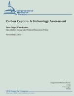 Carbon Capture: A Technology Assessment