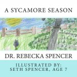A Sycamore Season