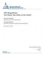 EPA Regulations: Too Much, Too Little, or On Track?