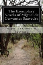 The Exemplary Novels of Miguel de Cervantes Saavedra