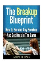 The Breakup Blueprint: How to Survive Any Breakup and Get Back in the Game