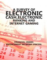 A Survey of Electronic Cash, Electronic Banking, and Internet Gaming