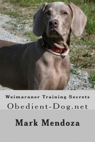 Weimaraner Training Secrets: Obedient-Dog.net