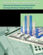 Getting the Biggest Bang for the Buck: Exploring the Rationales and Design Options for Energy Efficiency Financing Programs