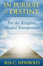 In Pursuit of Destiny: For the Kingdom Minded Entrepreneur