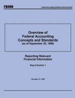 Overview of Federal Accounting Concepts and Standards