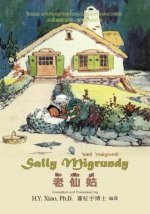 Sally Migrundy (Traditional Chinese): 09 Hanyu Pinyin with IPA Paperback Color