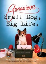 Small Dog, Big Life