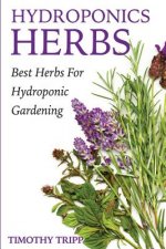 Hydroponics Herbs: Best Herbs For Hydroponic Gardening