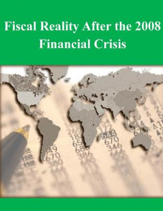 Fiscal Reality After the 2008 Financial Crisis
