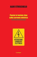 Poesie in tentata rima sulla corrente elettrica