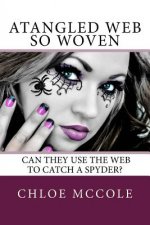 A Tangled Web so Woven: Can they use the web to catch a spyder?