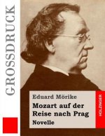 Mozart auf der Reise nach Prag (Großdruck): Novelle