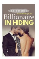 Billionaire in Hiding: Book Three: Midnight on the Shore