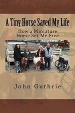 A Tiny Horse Saved My Life: How a Miniature Horse Set Me Free