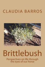 Brittlebush: Perspectives on life through the eyes of our horse