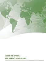 After The Spring: Reforming Arab Armies