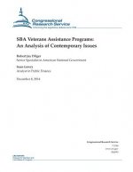 SBA Veterans Assistance Programs: An Analysis of Contemporary Issues