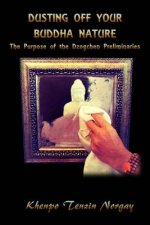 Dusting Off Your Buddha Nature: The Purpose of the Dzogchen Preliminaries