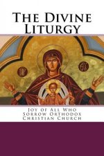The Divine Liturgy: Joy of All Who Sorrow Christian Orthodox Church