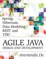 Spring, Hibernate, Data Modeling, REST and TDD: Agile Java Design and Development