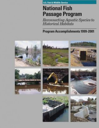 National Fish Passage Program: Program Accomplishments 1999-2001