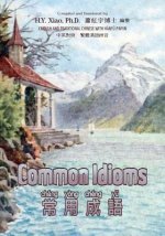 Common Idioms (Traditional Chinese): 04 Hanyu Pinyin Paperback B&w
