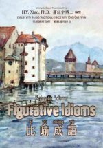 Figurative Idioms (Traditional Chinese): 08 Tongyong Pinyin with IPA Paperback B&w
