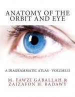Anatomy of the Orbit and Eye: A Diagrammatic Atlas - Volume II